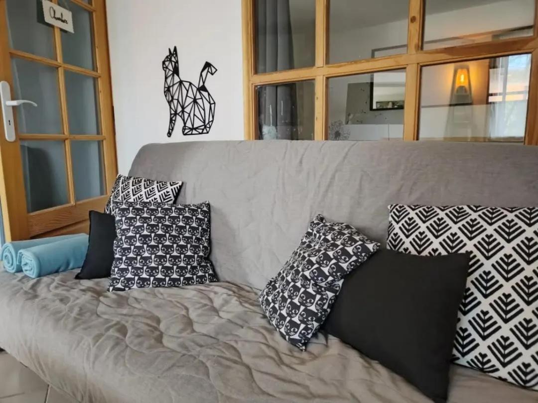 Le Nid Du Chat Noir - Maison Alveole Bed And Books 锡耶 外观 照片